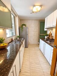 The Serenade @ Holland (D10), Condominium #627906271